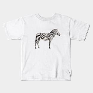 Beautiful Zebra Kids T-Shirt